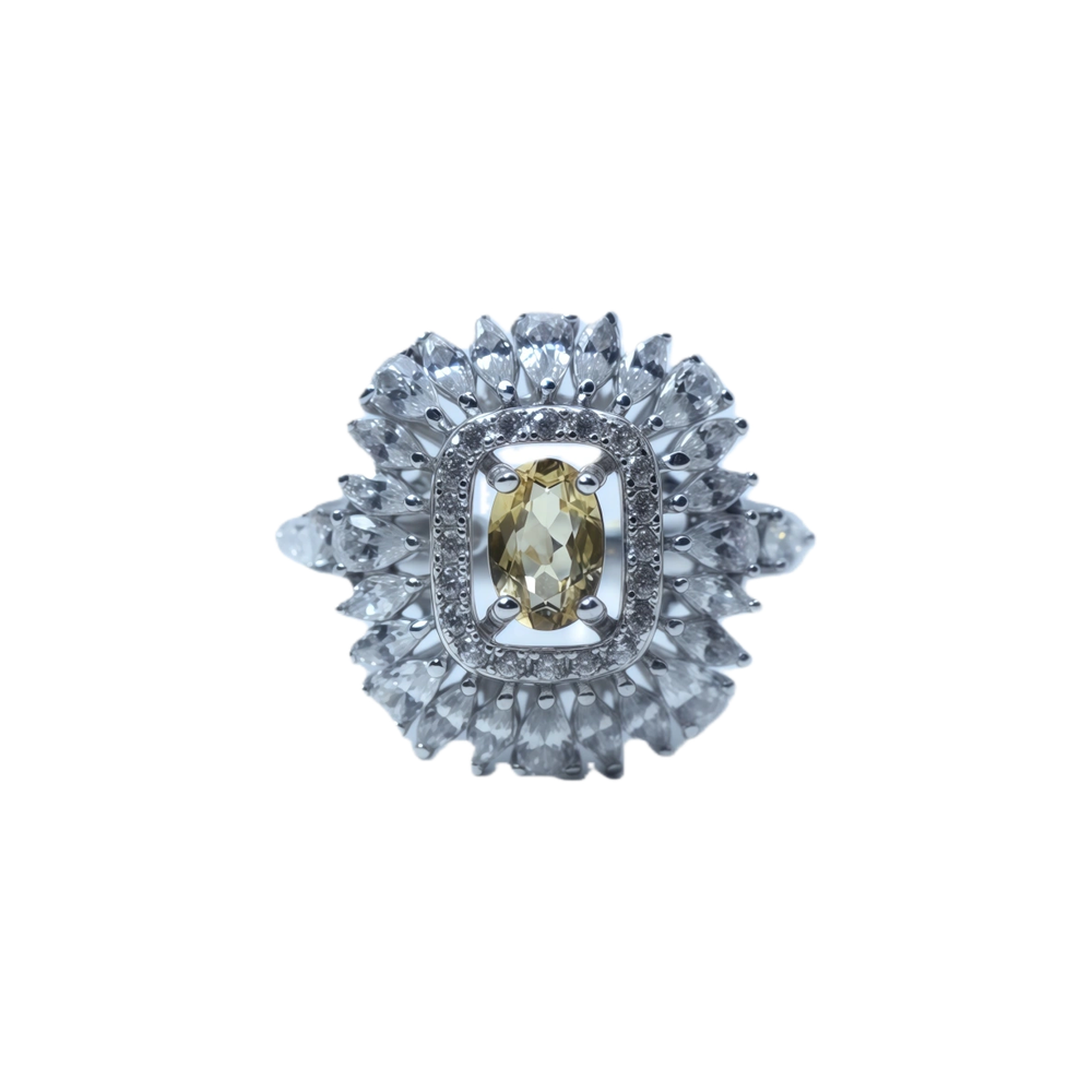 Square Luxury Garnet Ring