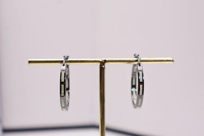 Circle Opal Earrings